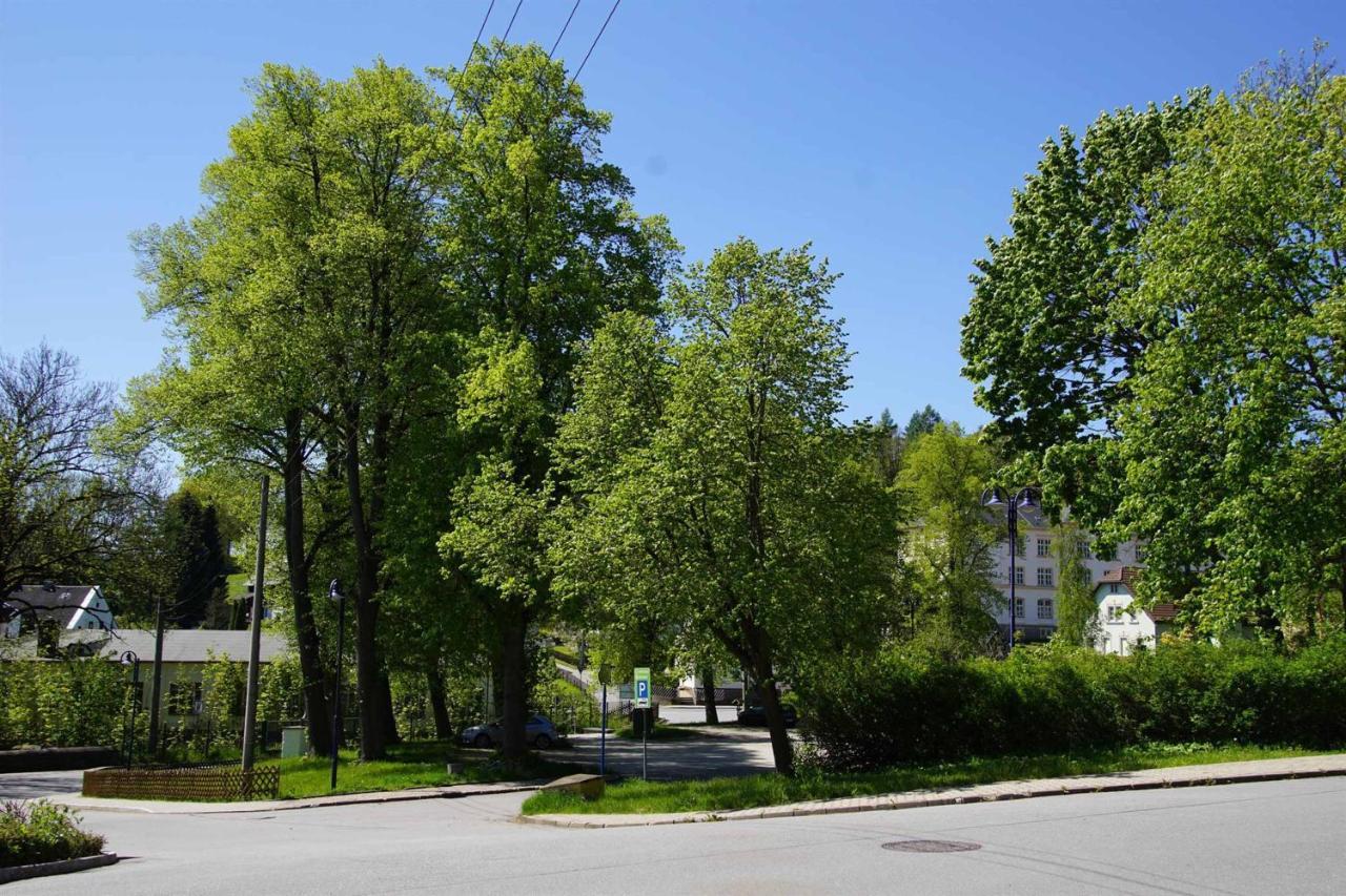 Ferienwohnung Kermaerchen Gelenau Zewnętrze zdjęcie